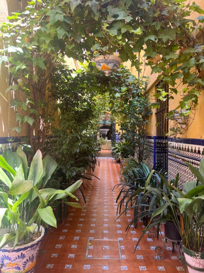 Hostal Atenas Sevilla Eksteriør bilde